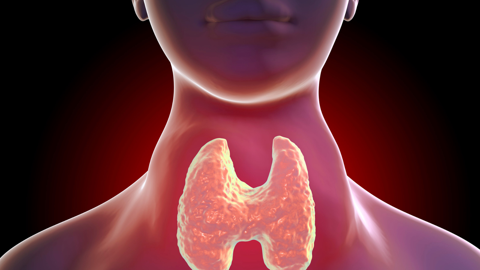 Thyroid dysfunction and menopause symptoms explained by Dr María Zalazar