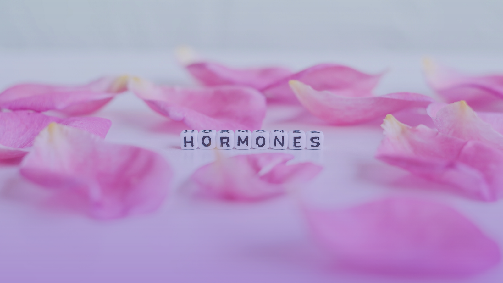 vaginal dryness menopause